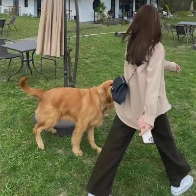 最后的夫人